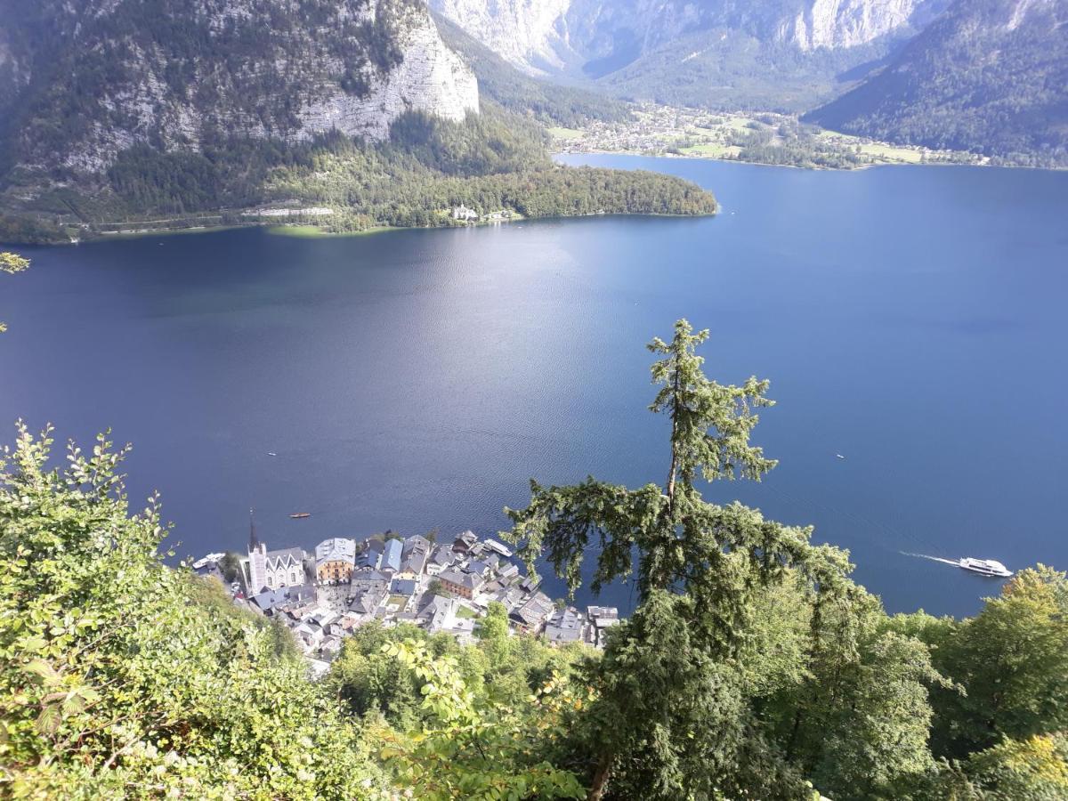 Haus Trausner Apartment Hallstatt Exterior photo